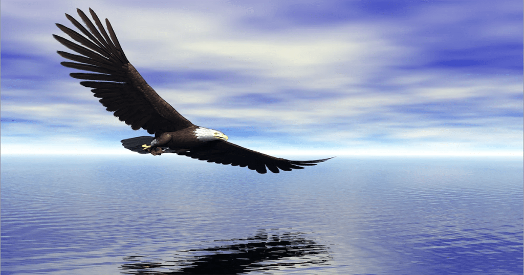 Soaring with Purpose: The Substance Use Certified Peer Recovery Specialist